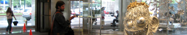 Brooks, reflection, 2007
